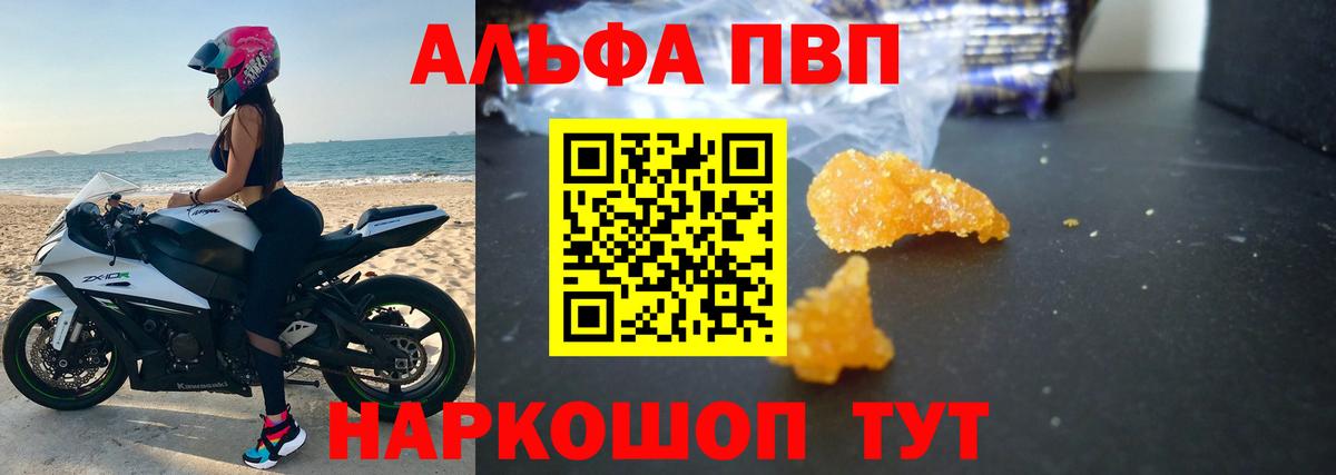 Альфа ПВП СК Нижнекамск