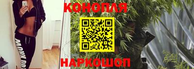 дживик Гатчина