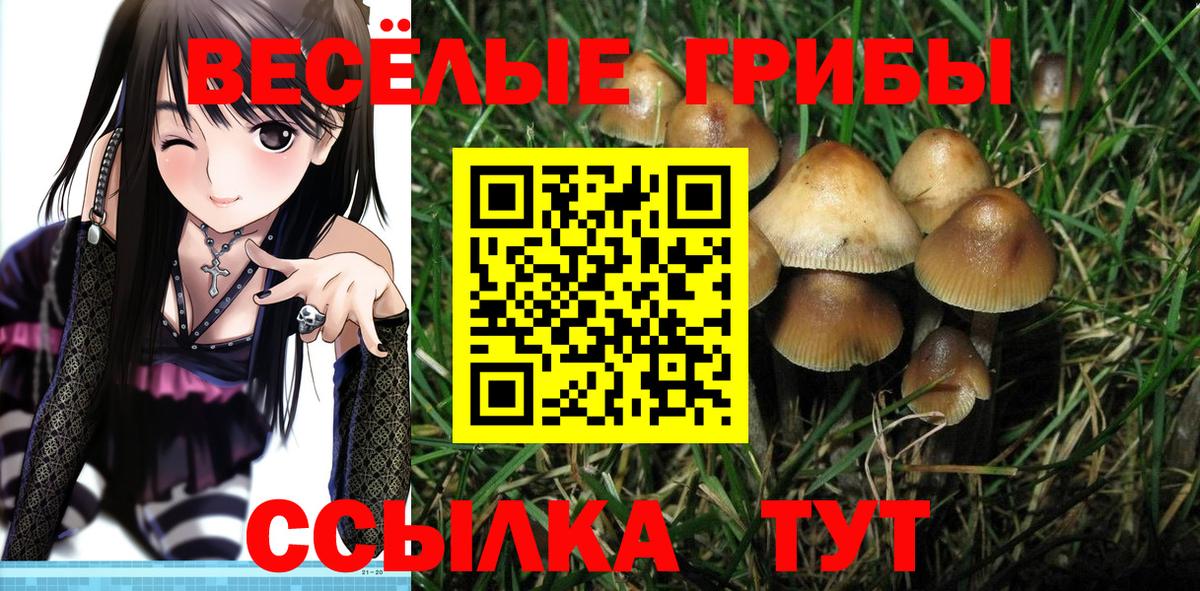 Псилоцибиновые грибы мицелий  Вход с VPN  Нижнекамск 